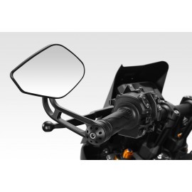 SS Evo DPM Mirrors