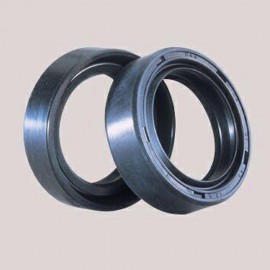 Bihr Fork Seals