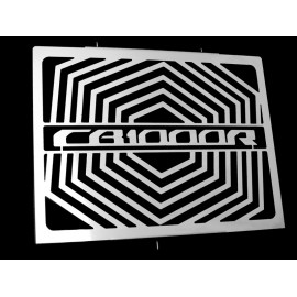 0310H029 : Protección radiador Mad CB1000R